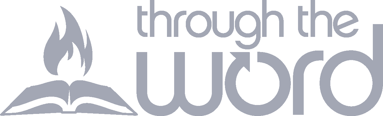 TTW Premium Transfer Vinyl Sticker - Various Colors
