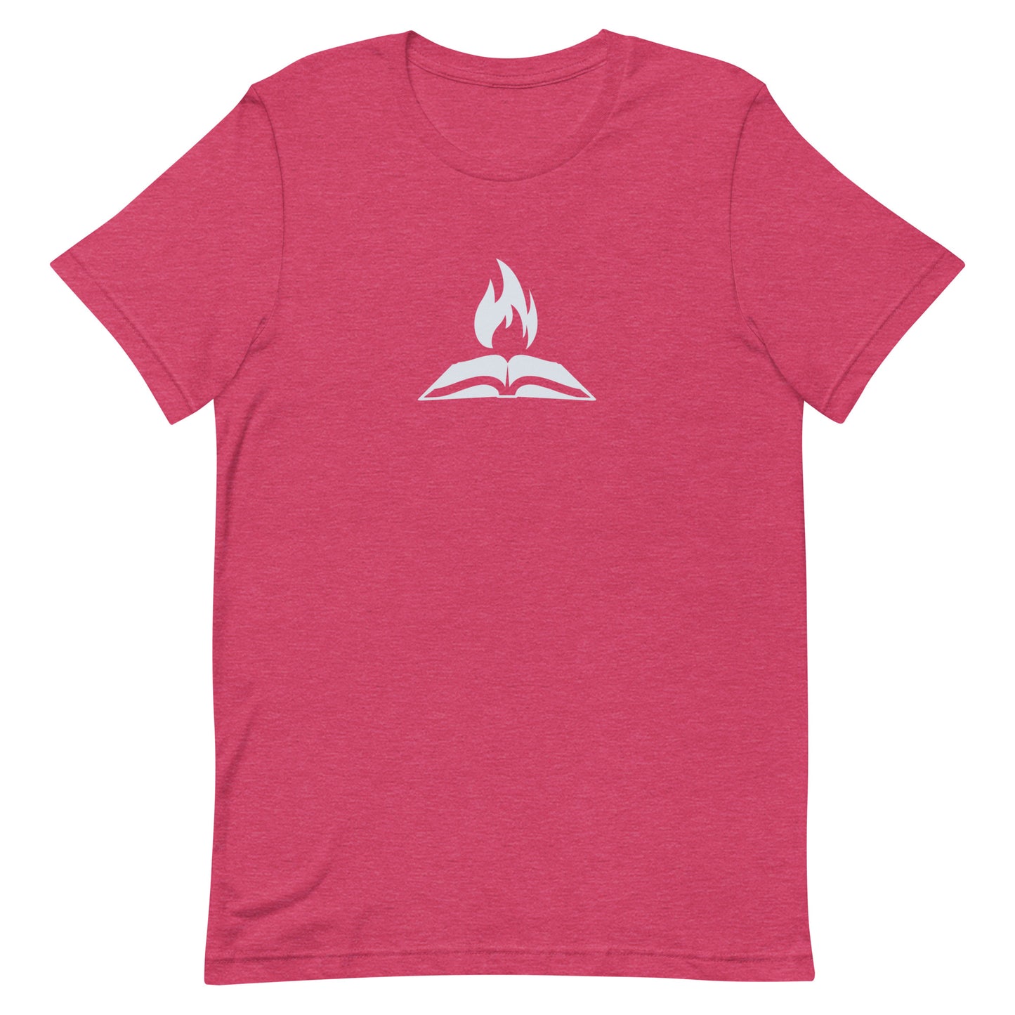 TTW Unisex T-Shirt - Flame Logo